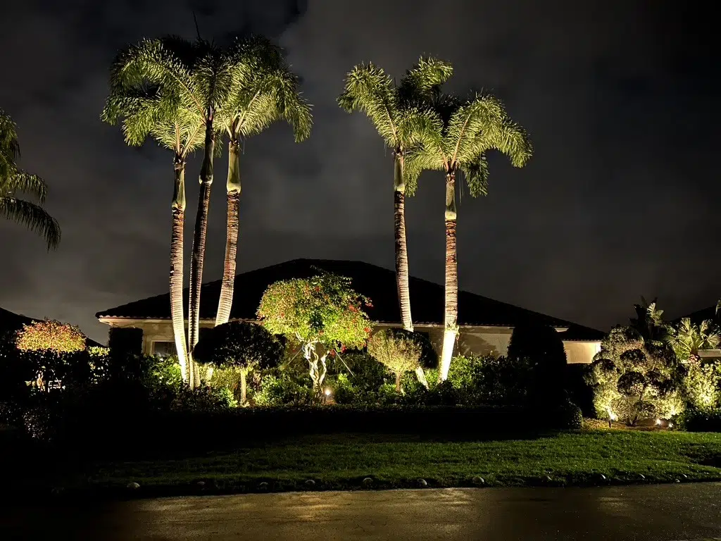 Landscape Lighting Tampa. Florida